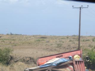 En panne en pleines pampa africaine