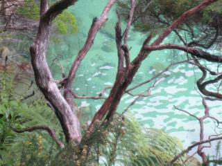 Abel Tasman