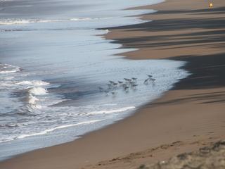 Plage prés du village de Tortuguero