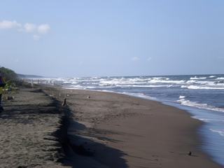 Plage des caraibes
