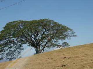 Rincon de la Vieja – Costa Rica