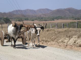 Rincon de la Vieja – Costa Rica