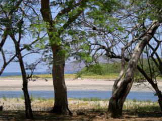 Sur la route de Tamarindo