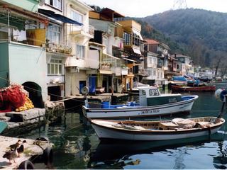 Le petit port de pêche d'Anadolu Kavagi, dernier arrêt du service fluvial où nous avons déjeuné après 2 heures de traversée. Là aussi, les habitations, plus modestes ont toutes une entrée sur le Bosphore. Mes mollets se souviendront quelque temps du jars et de sa femelle ! (en bas à gauche).