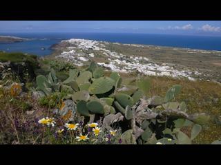 Vue sur Oia