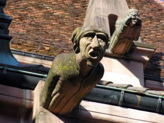 Gargouilles de la cathédrale