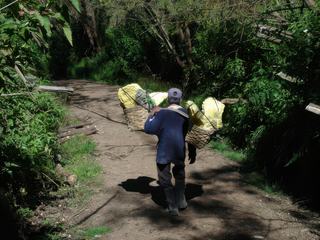 Mineur sur la route du campement.