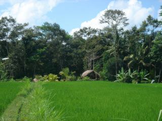 Bali – Indonésie