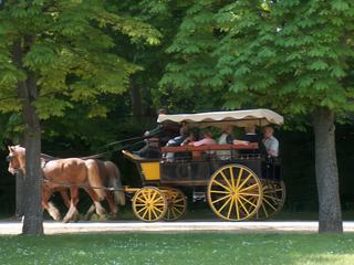 Visite du parc en calèche
