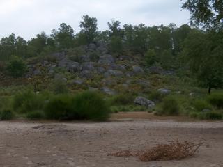 Roche et désert de sable parmi la végétation telle est la particularité des "Gorges d'Apremont"