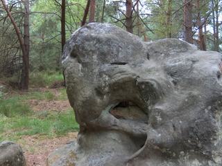 Le fameux éléphant de roche