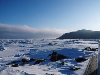 Le Saint-Laurent gelé, les blocs de glace sont bien des vagues gelées dues au mouvement des marées.