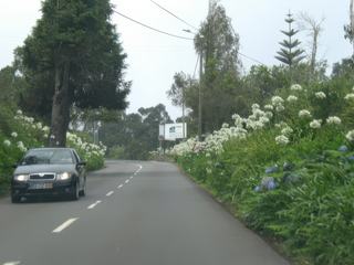 Route de montagne