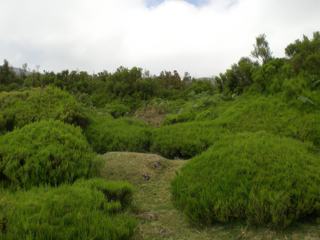 Plateau da Serra